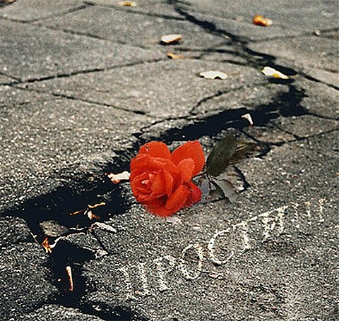 Лена и игнат - Прости...за то ,что так любила...прости ,что не ценила...